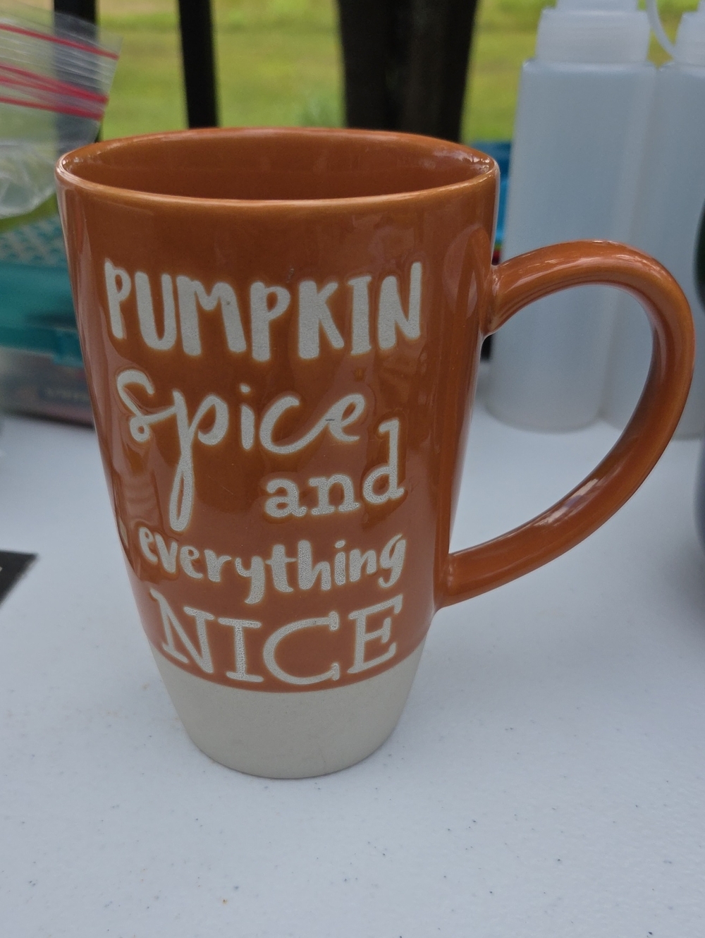 GANZ Orange and Cream 'Pumpkin Spice and Everything Nice' Ceramic Mug